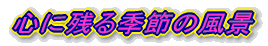 心に残る季節の風景