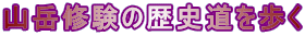 RxC̗j