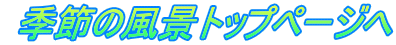  G߂̕igbvy[W