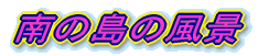 ̓̕i