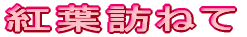紅葉訪ねて
