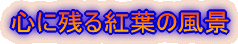 心に残る紅葉の風景
