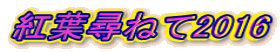 gtq˂2016