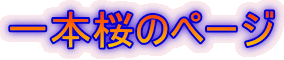 {̃y[W