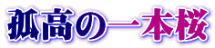 Ǎ̈{