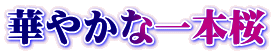 ؂₩Ȉ{