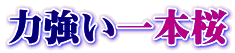 ͋{