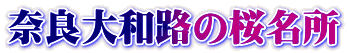 ޗǑaH̍