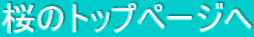 ̃gbvy[W