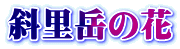 斜里岳の花