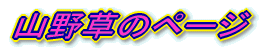 山野草のページ