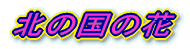 北の国の花2009