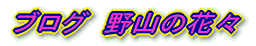 uO@R̉ԁX