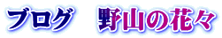 uO@R̉ԁX