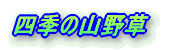 lG̎R쑐̓e