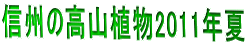 MB̍RA2011N