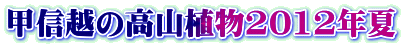 bMz̍RA2012N