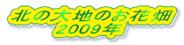 k̑n̂Ԕ @@@2009N