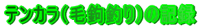 eJiނj̋L^